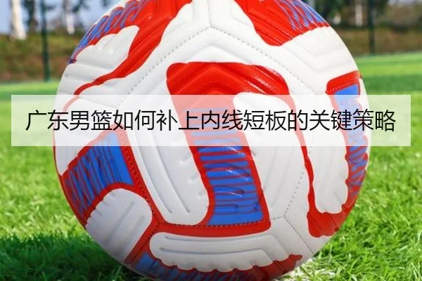 广东男篮如何补上内线短板的关键策略