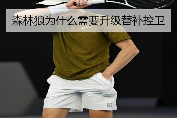 森林狼为什么需要升级替补控卫